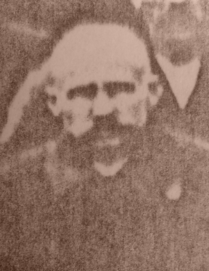 Stanisław Cholewa